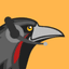 Huginn logo
